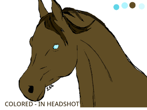 Color in - contest entry