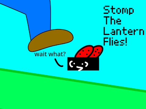 Stomp the lantern flies!