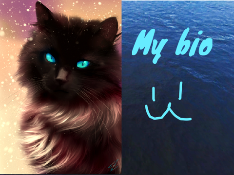 Bio (AstroStar)