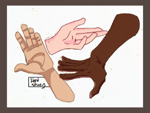 Hand Study