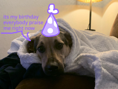 SYD'S B-DAY!!!!!