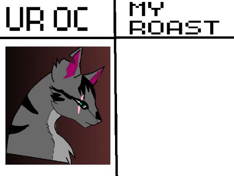 ROAST ME