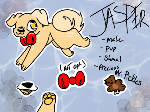 Jasper Ref