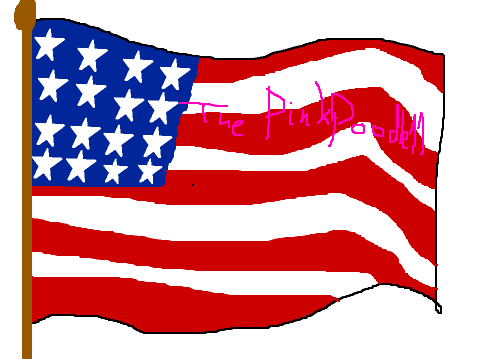 Sign the flag if you're a proud American! remix