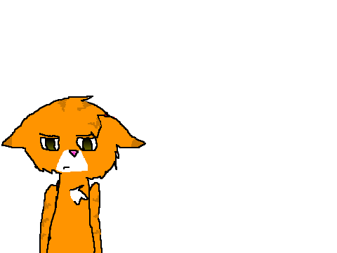drawings of my cat