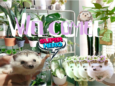 w e l c o m e