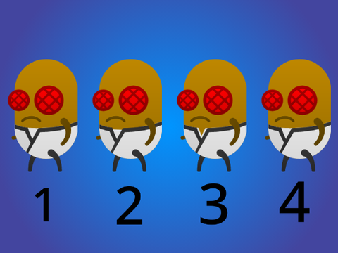 Farmer Bug Survey