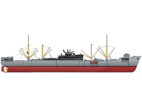Kormoran "HSK-8" 