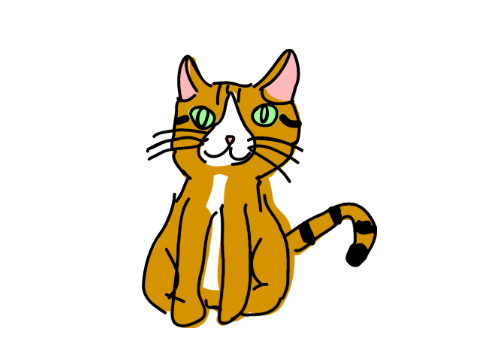 飼ってる猫