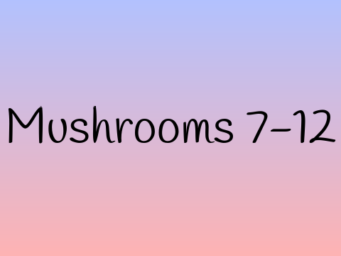 Mushrooms 7-12