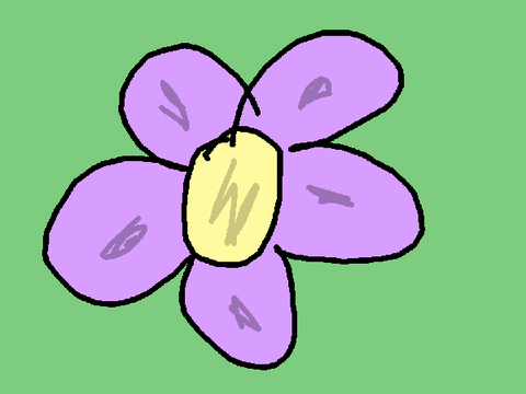 flower drawing