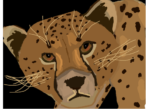 Cheetah art lol