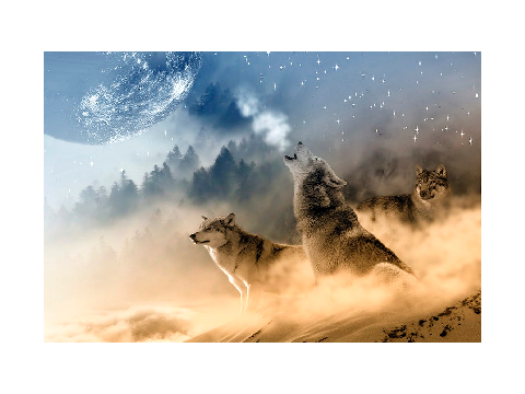 spirit wolf-it is not my time to die remix