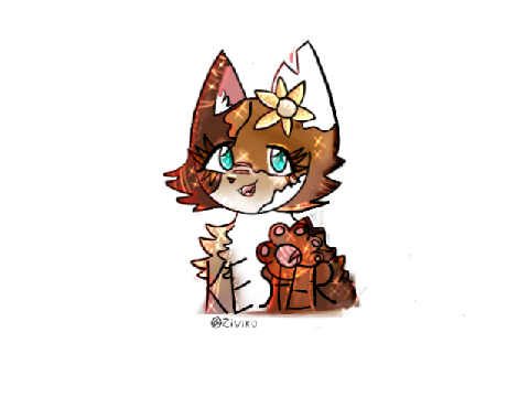 Com for @ziviko