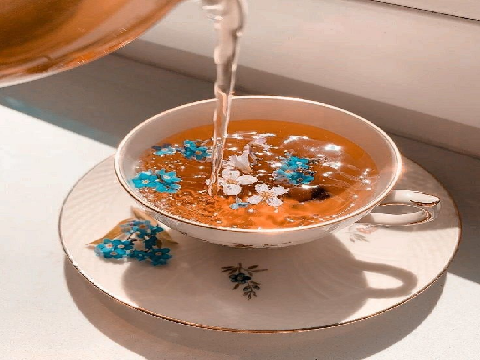☕︎