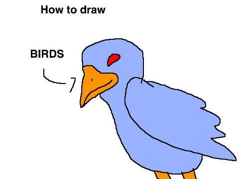 How to draw birds