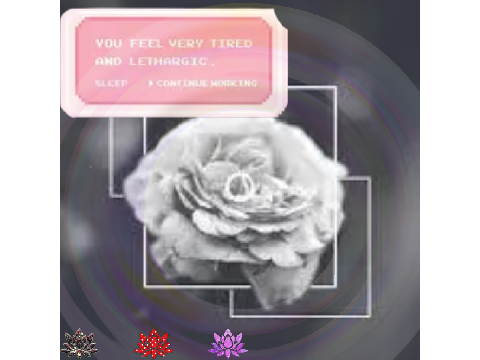 Untitledaesthetic