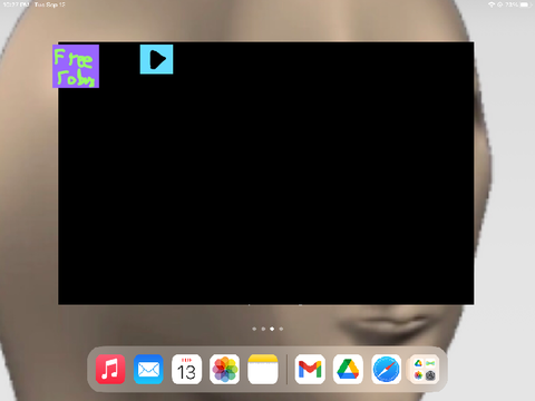 iPad 