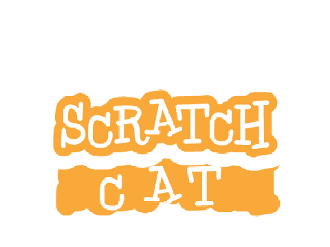 Scratch simulator 5.0