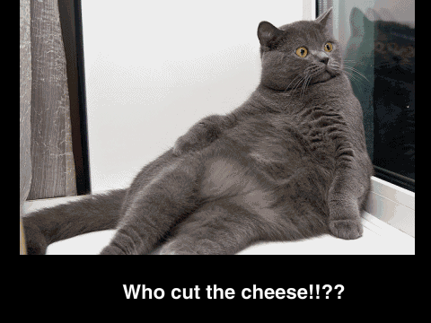 Caption Contest *OPEN* third remix