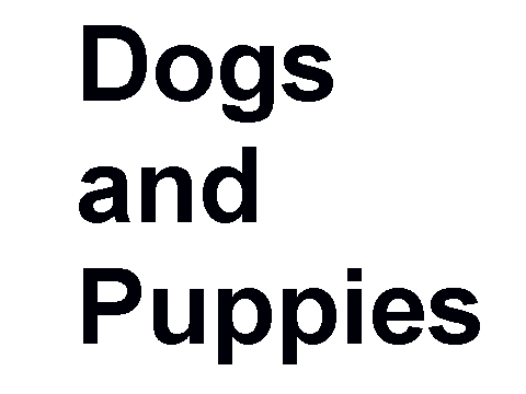 Puppies
