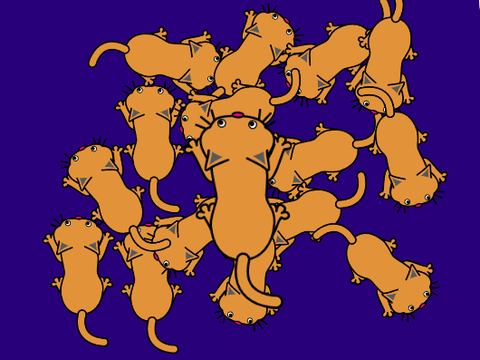Spinning Cats