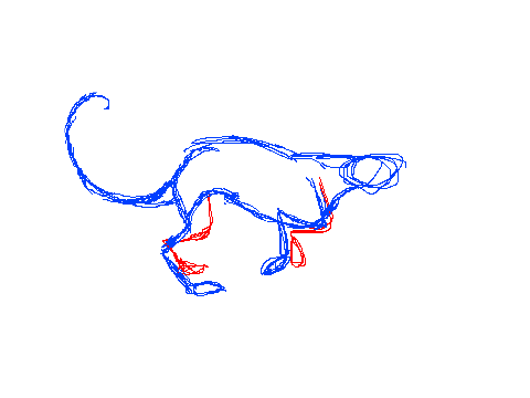 Run Cycle!