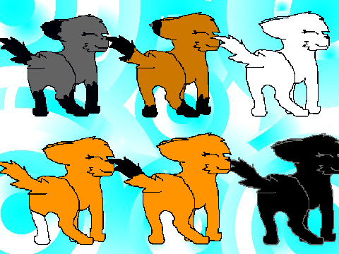 ADD YOURSELF DOING THE TAIL WHIP DANCE!!! Remix