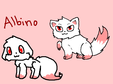Draw to Adopt!! Albino