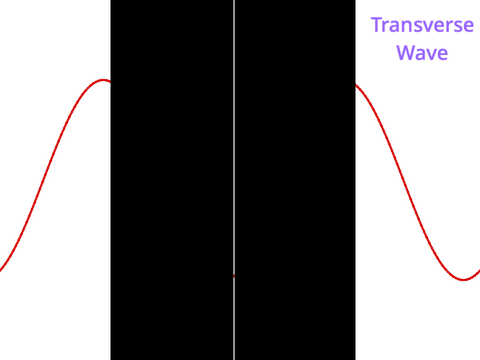 Transverse Wave