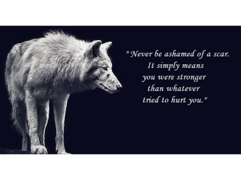 Lone Wolf quote #1