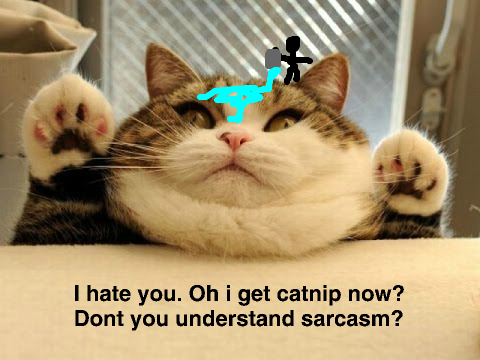 Cat Meme Contest :D remix/entry