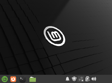 Linux Mint 21 Simulator