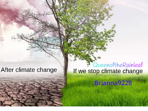 CLIMATE ACTION NOW remix