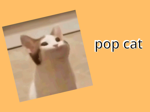 pop cat