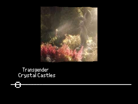 Crystal Castles- Transgender Changeable