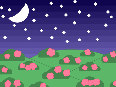 #5: Starry Night