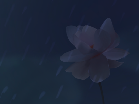 lotus pond