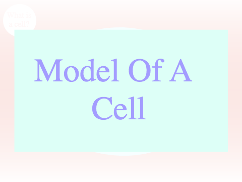 Q1SCTC 2-3: Activity#6: Model of A Cell