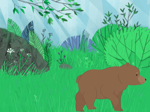 roaring bear JG