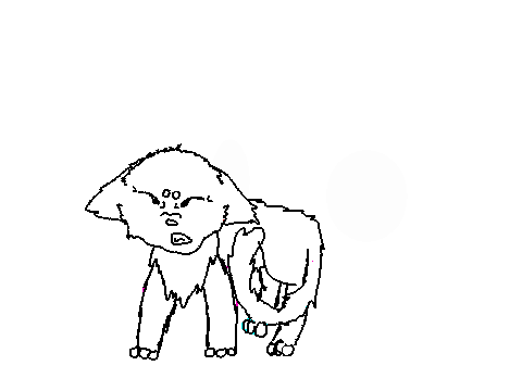 cat line art and test