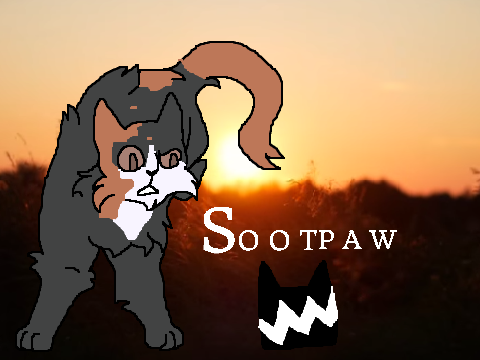N E W G E N E R A T I O N // Sootpaw