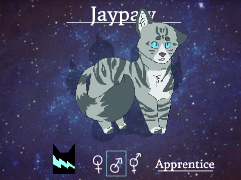 Jaypaw   :   Warriors  :  New Generation