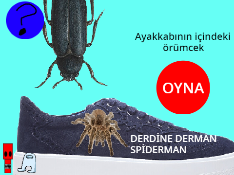 Ayakkabının içindeki örümcek ama bruh