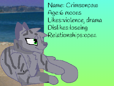 Crimsonpaw(For the Tideclan RP)