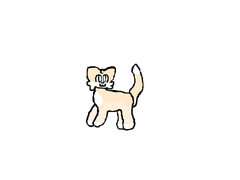 Cat :3
