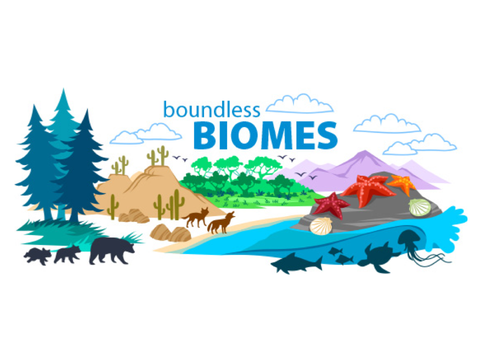 Biome: Deutsche Übersetzung