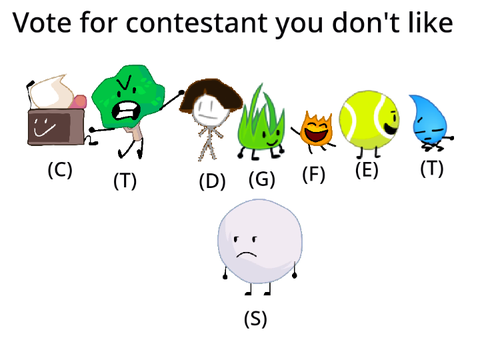 BFB custom viewer vote 4