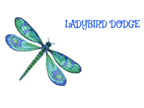  Ladybird dodge
