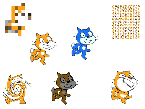 7 cats